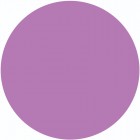 SNS 303 Violet Lover's