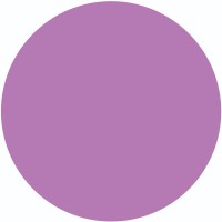 SNS 303 Violet Lover's