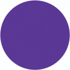 SNS 308 Violet Flame