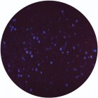 SNS 320 Highway Star