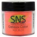 SNS 153 Prince of Orange