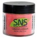 SNS 302 I'm A Ballerina