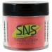 SNS 318 Cosmic Journeys SNS 318 Cosmic Journeys